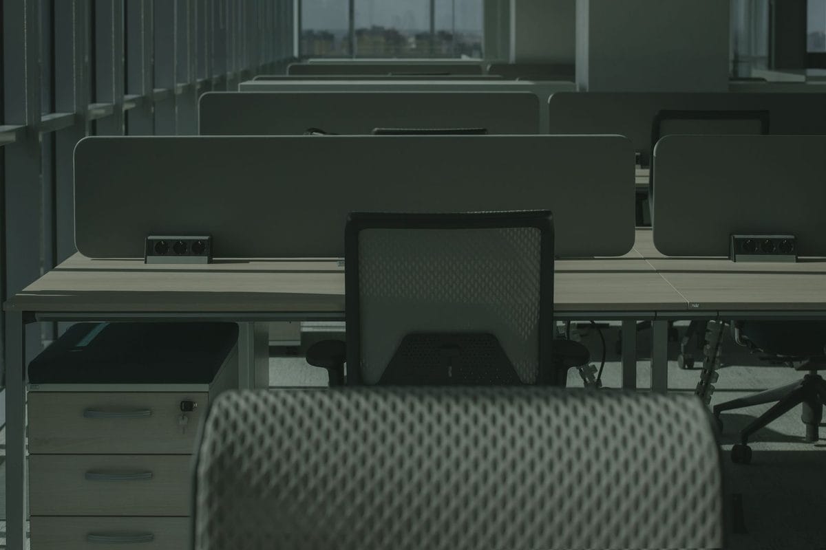 The Summer Lull Is the Most Useful Time of the Working Year. Here's How to Use It.
